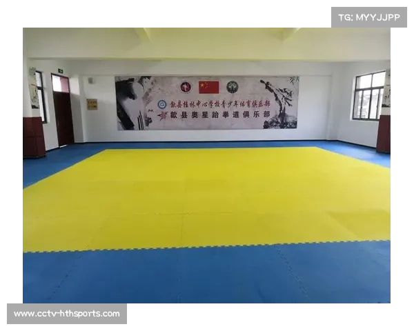 跆拳道与学业成绩关联研究发布，参与体育活动有助提升学习效率